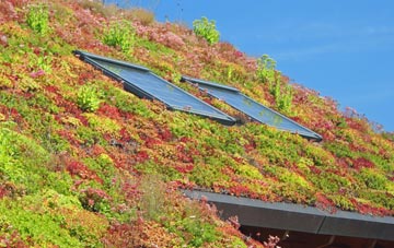 Ratford living roof systems